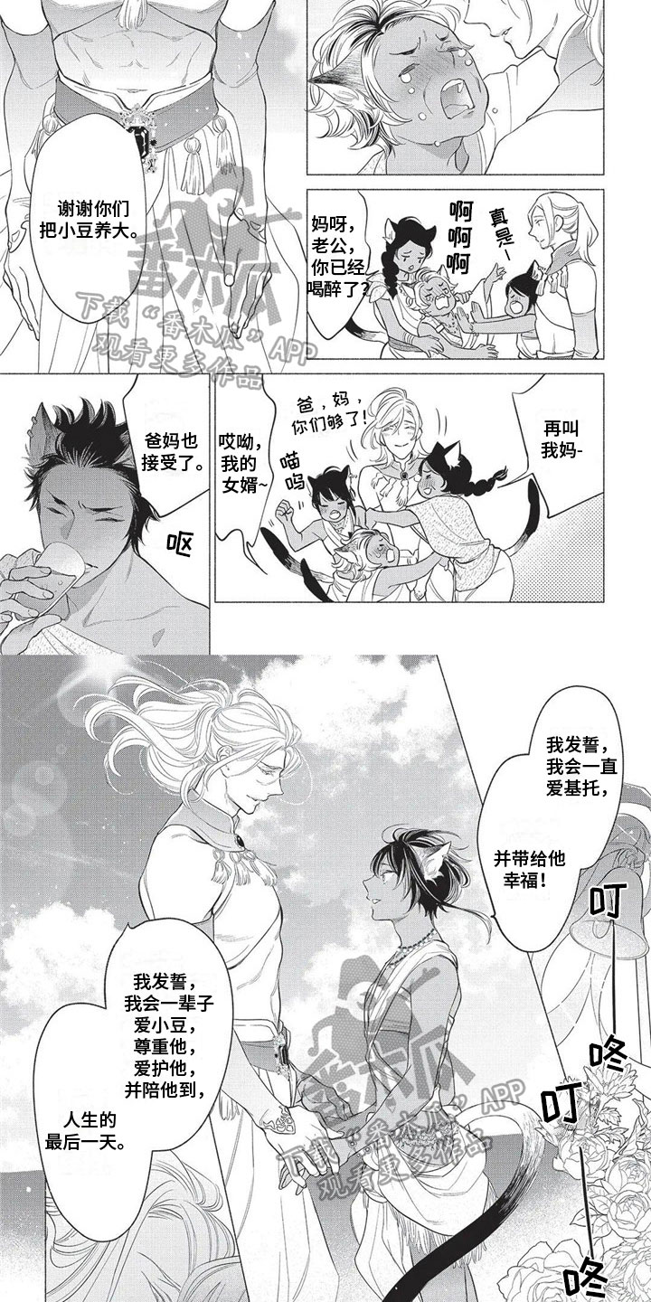 第33章：【番外】结婚3