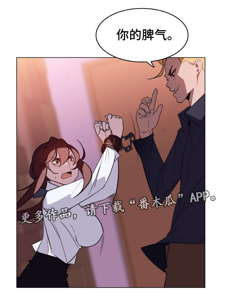 第25章：提议4