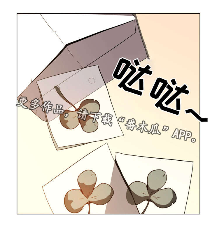 第25章：提议4