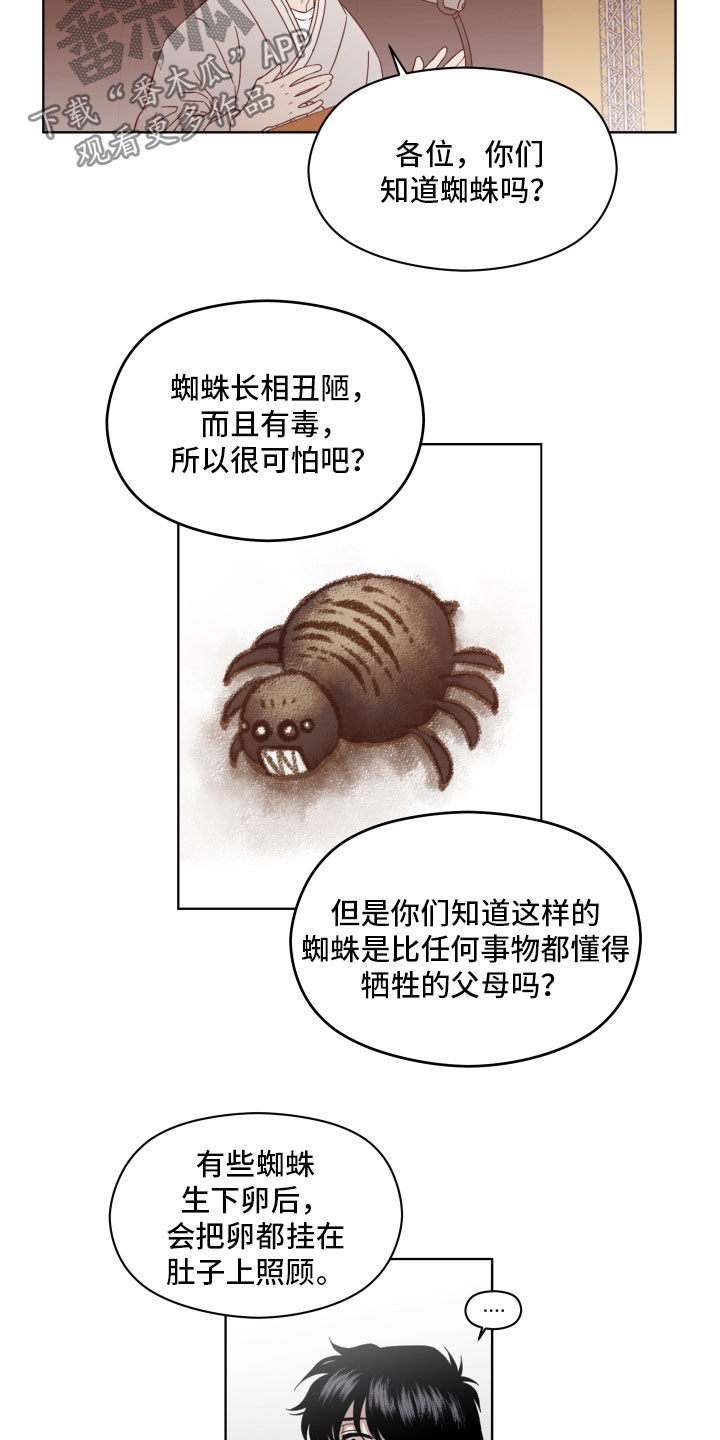 第4章：蜘蛛的故事3