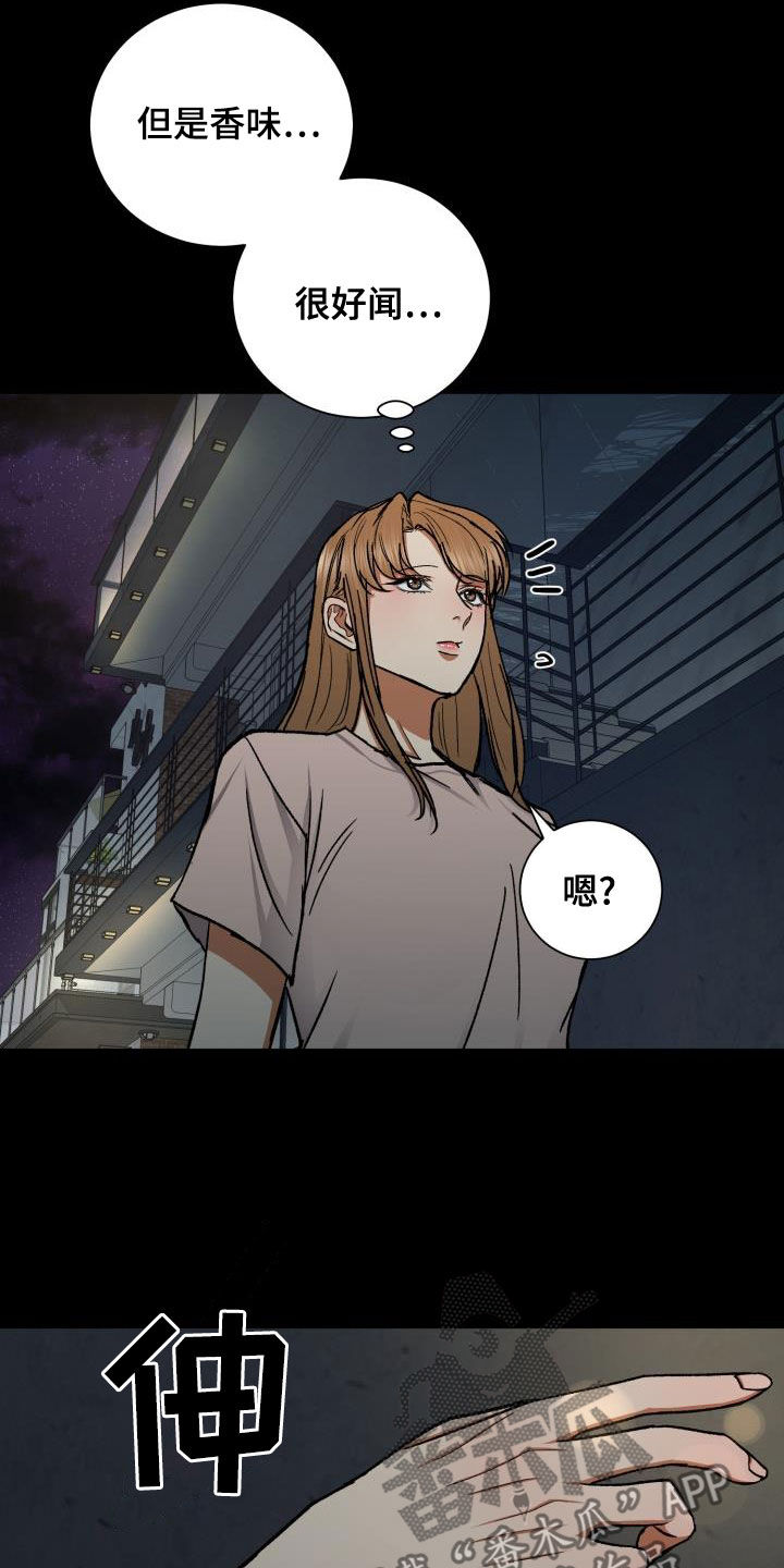 第44章：这是故意的？2