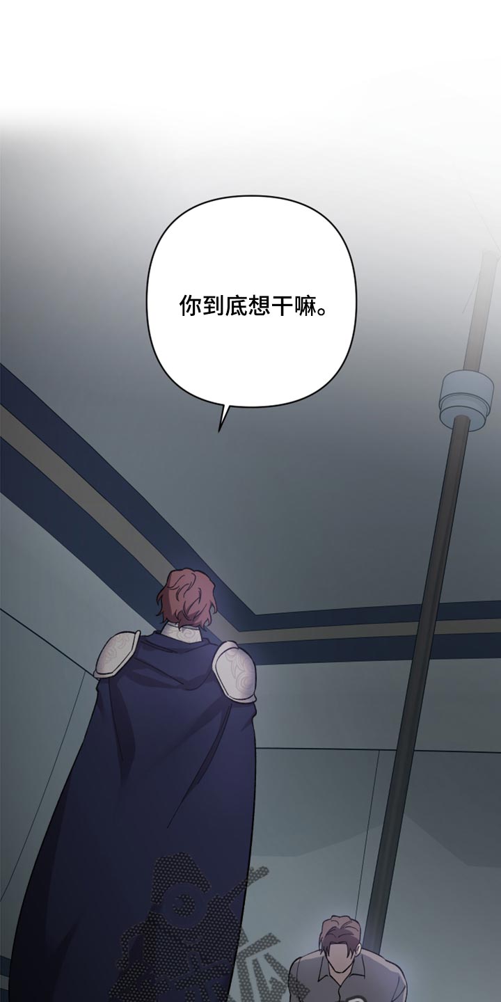 第41章：皇室的花纹0