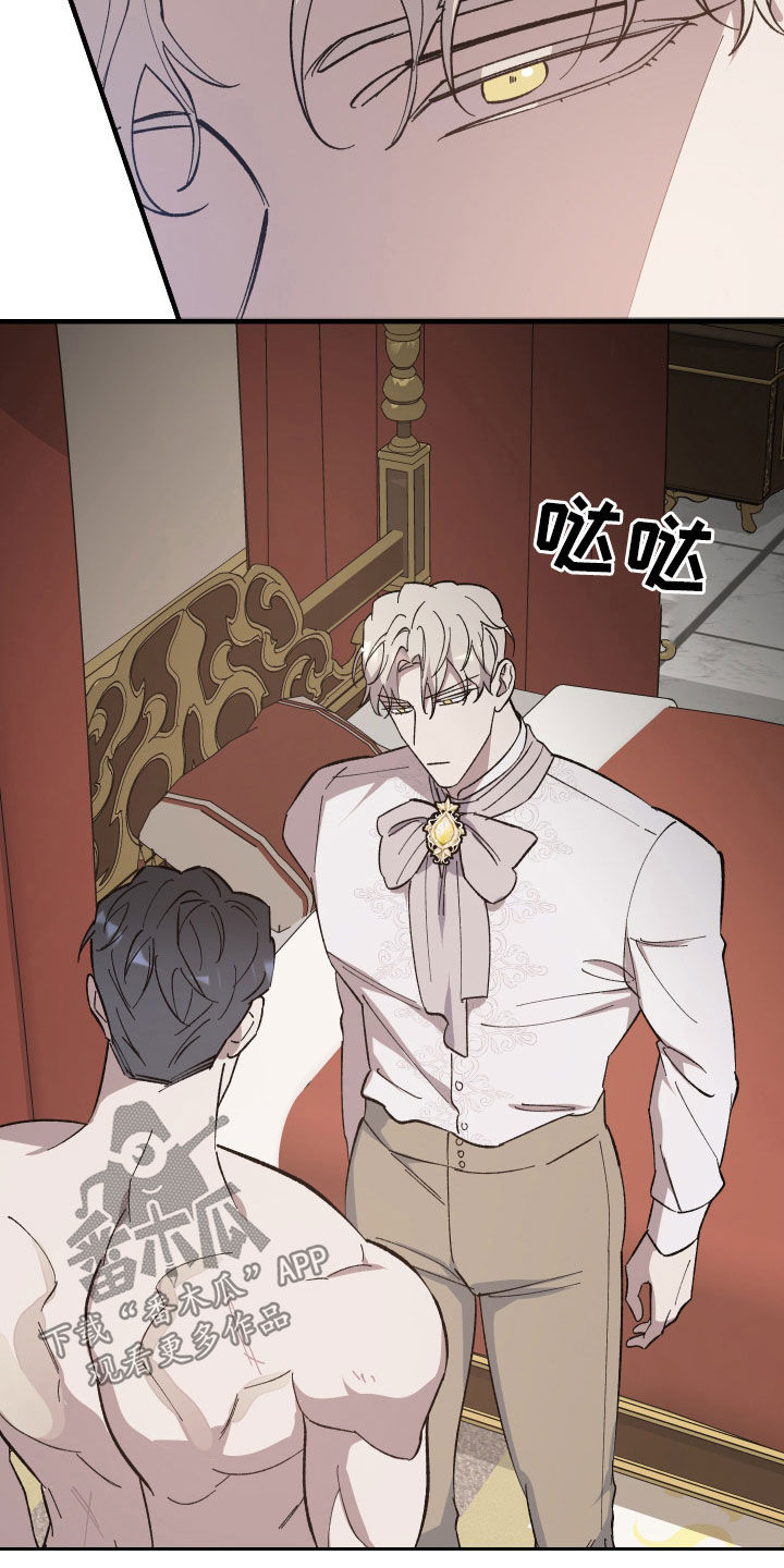 第15章：让我看看4