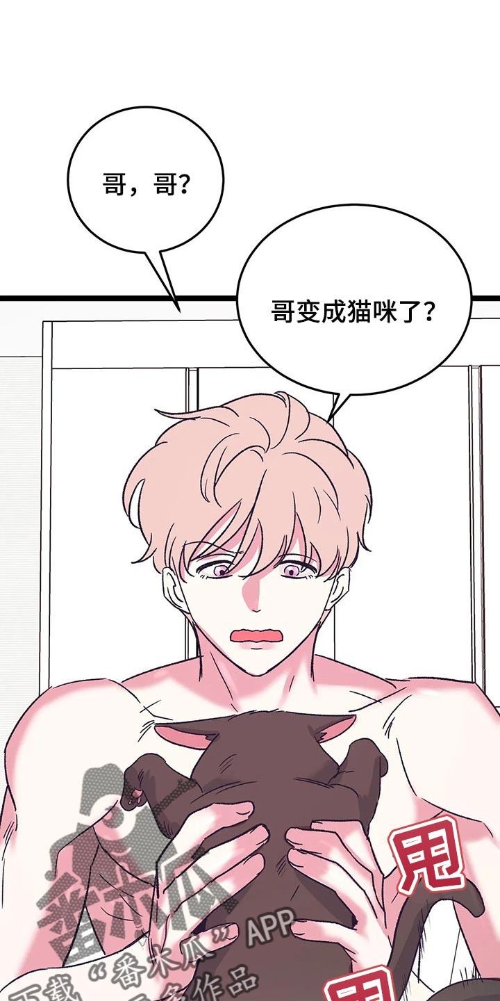 第60章：我也喜欢你【完结】0