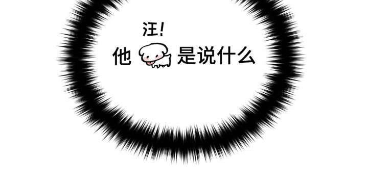 第4章：我行我素3