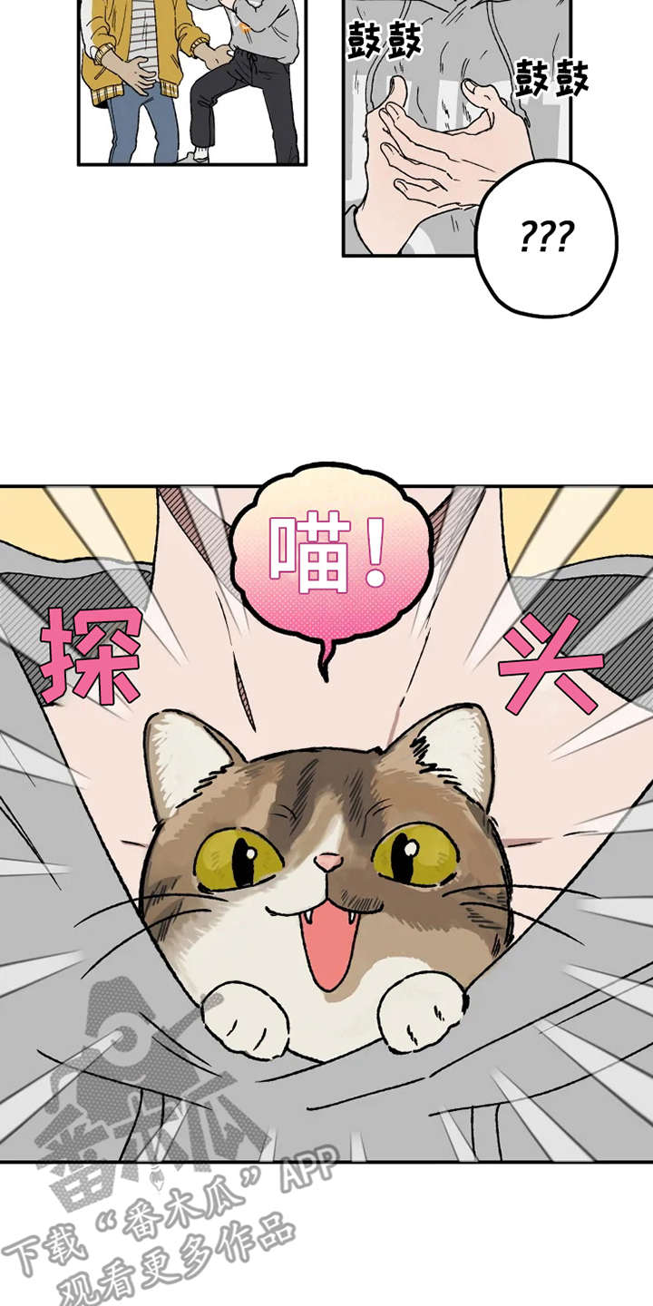 第21章：很在意1