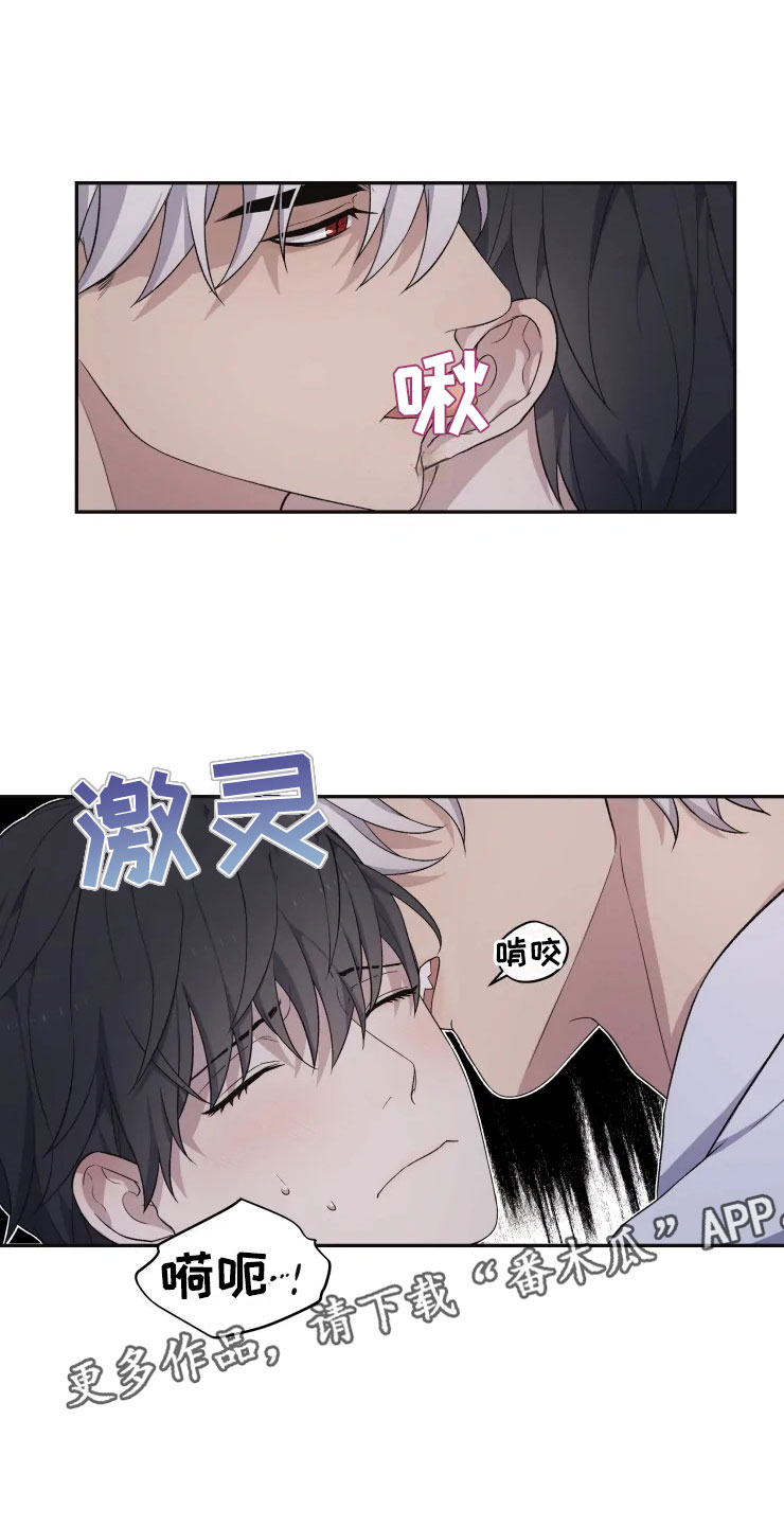 第18章：初夜之礼3
