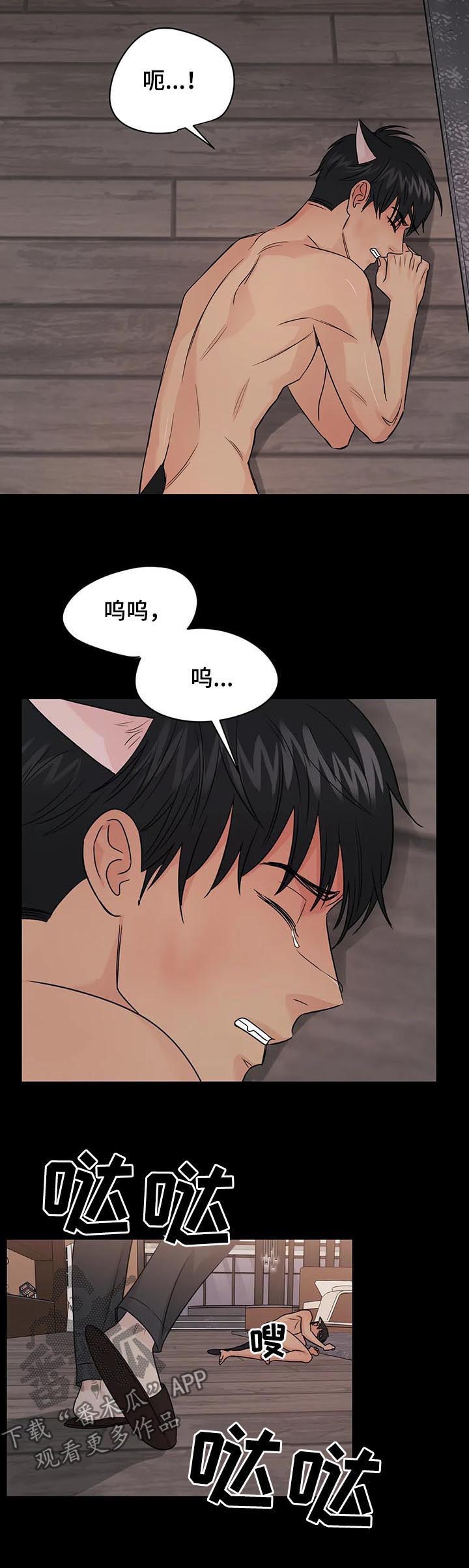 第51章：【第二季】过去3