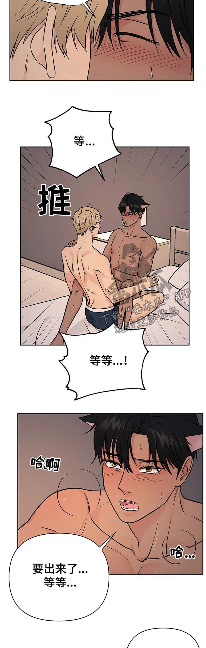 第35章：【第二季】可爱3