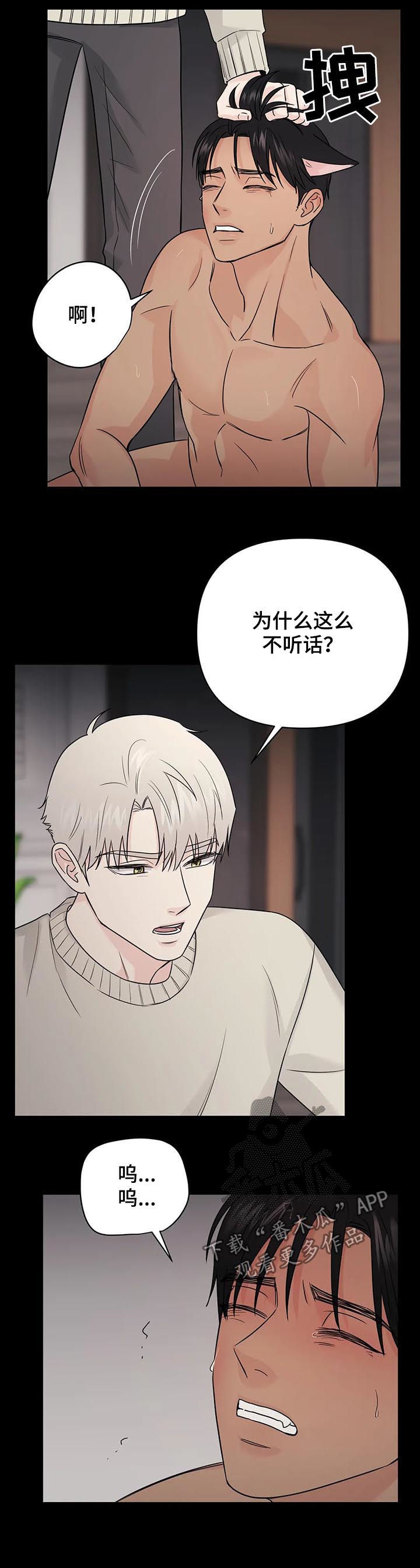 第51章：【第二季】过去4