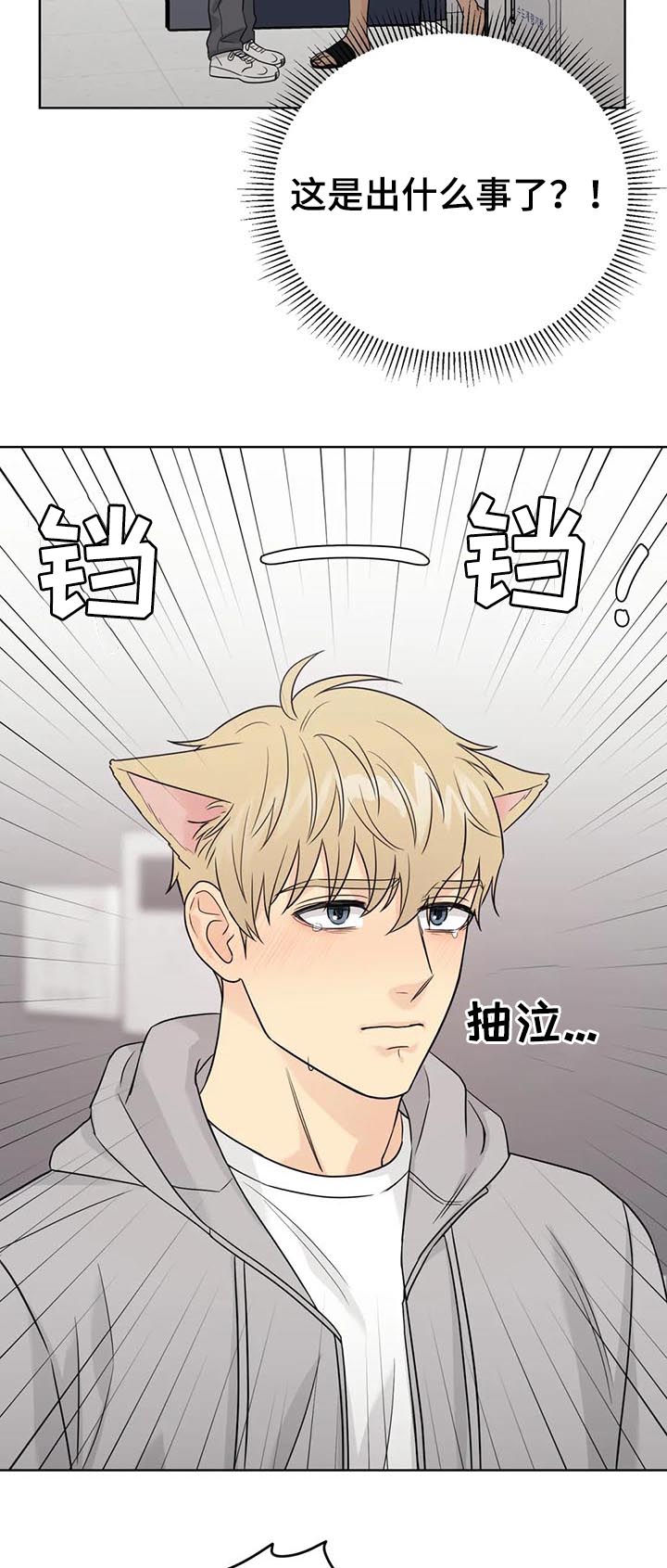 第62章：【番外】呆呆的宣宇13