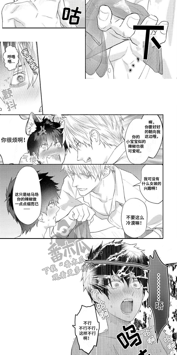 第12章： 有趣的事4