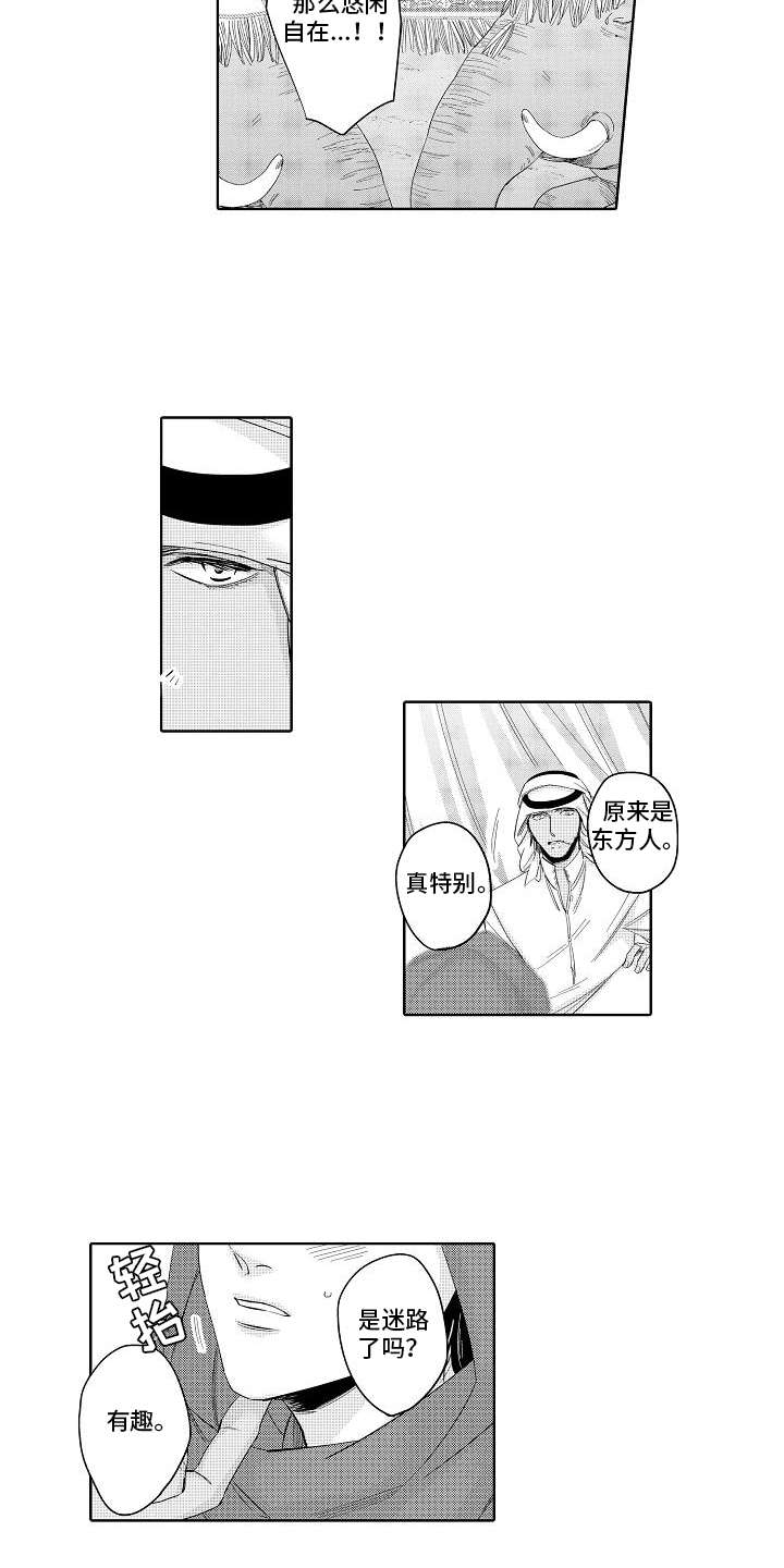 第12章：最强选手2