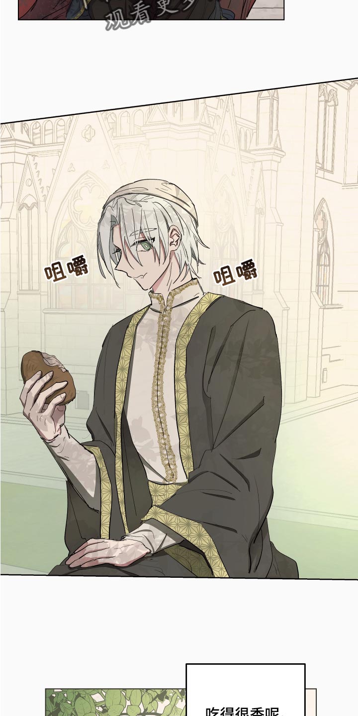 第27章：本末倒置的感觉3