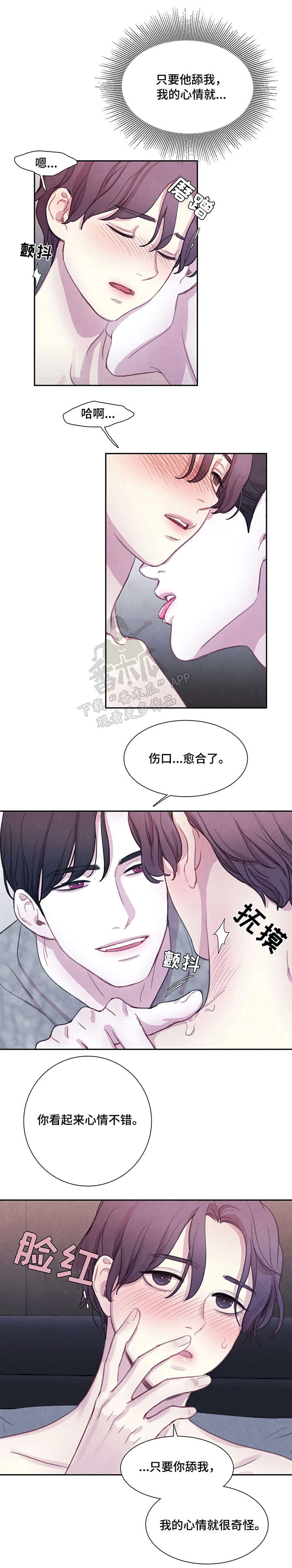第16章：解释4