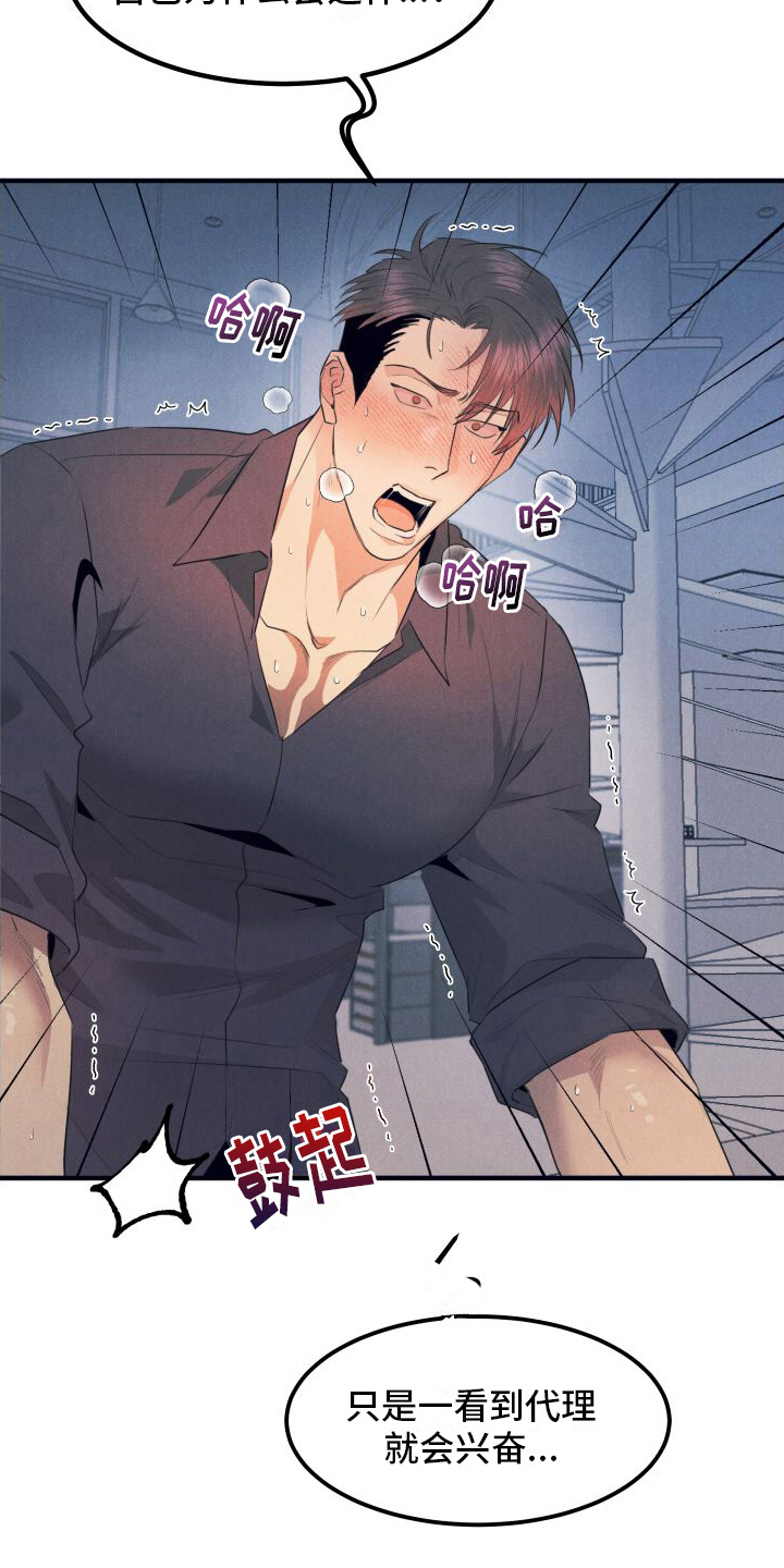 第13章：绝配【完结】1