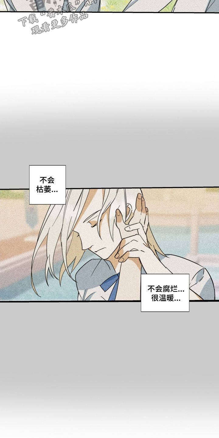 第41章：【第二季】百年战争：搭档4