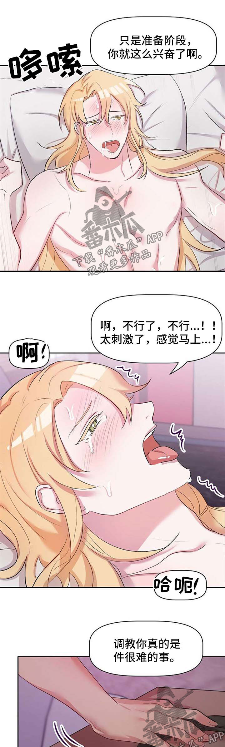 第33章：认清1