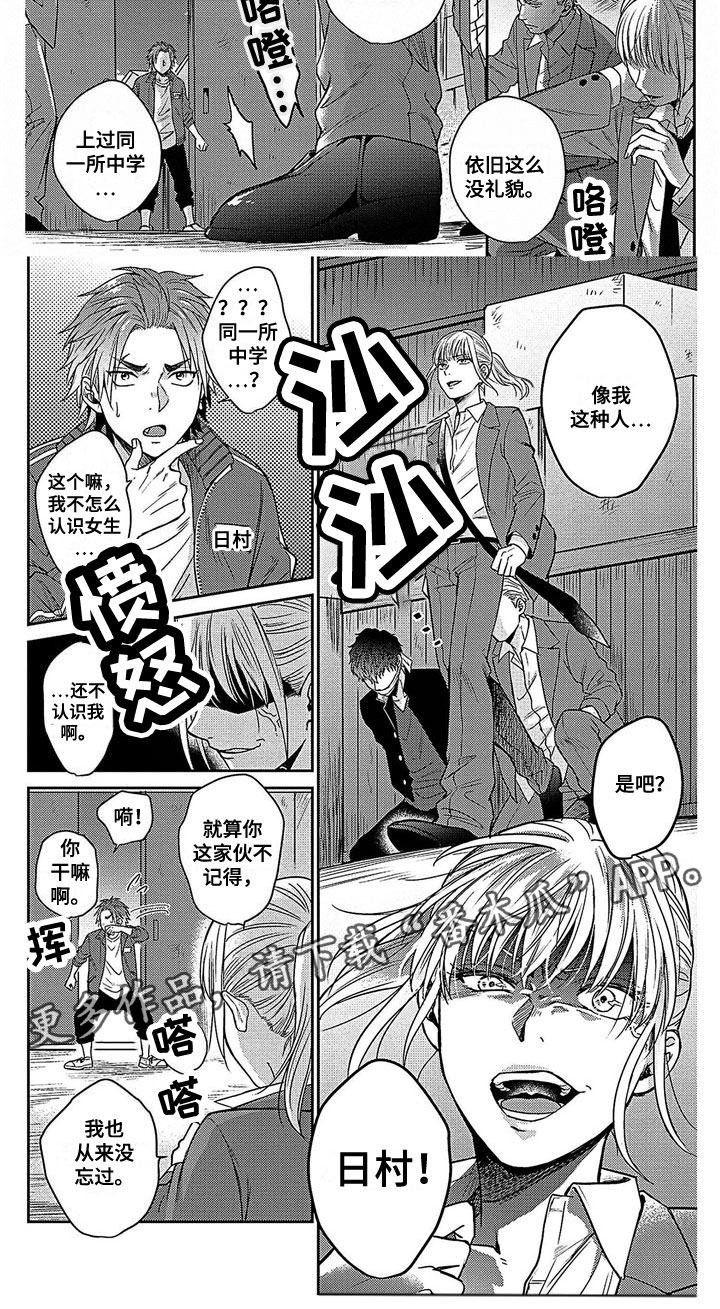 第17章：你谁啊2