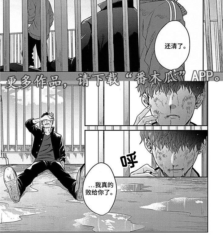 第29章：还清了4