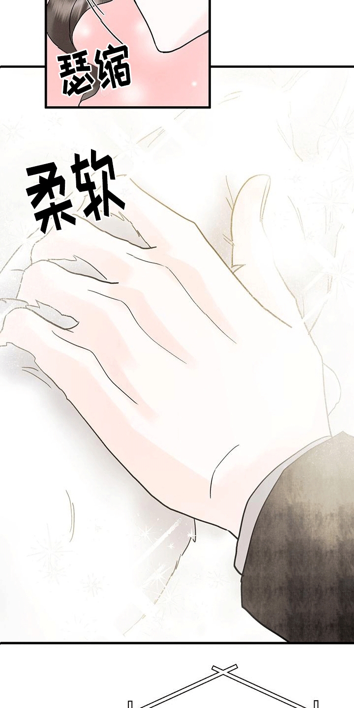 第23章：动物园1