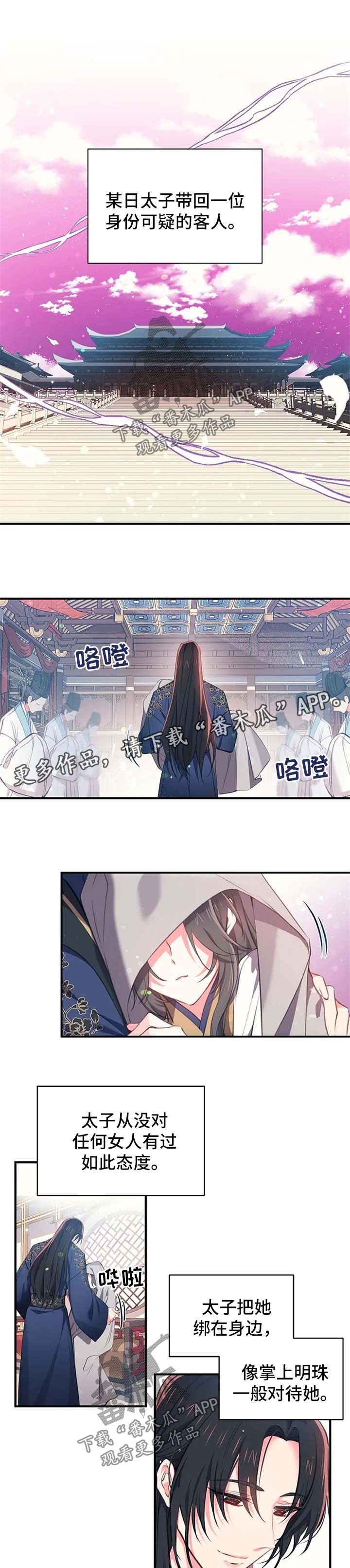 第63章：可疑的客人0