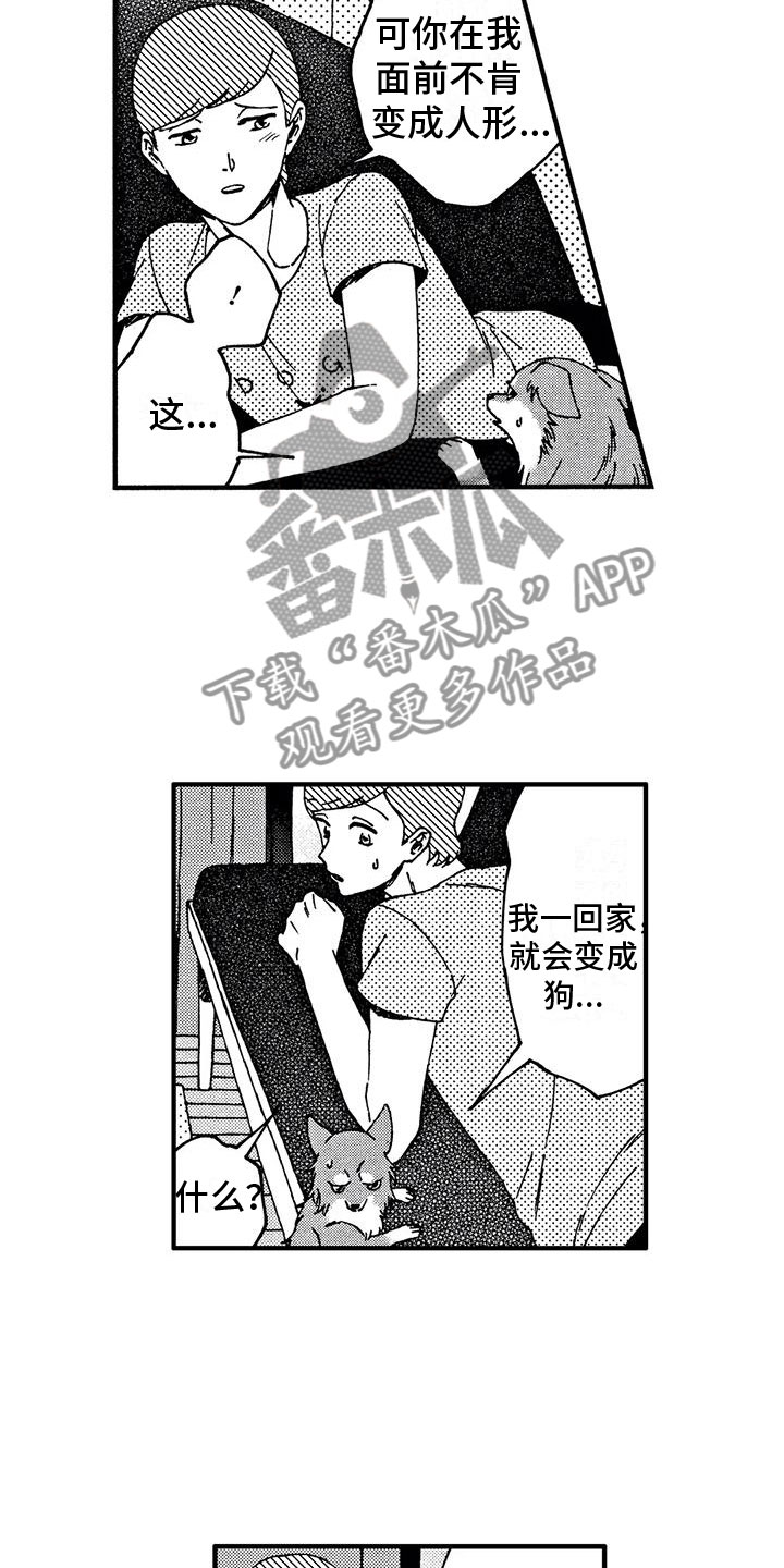 第19章：非常可爱4