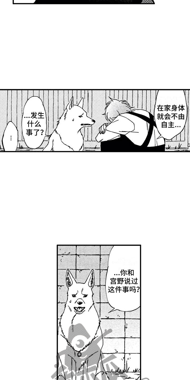 第16章：我伤害了他4