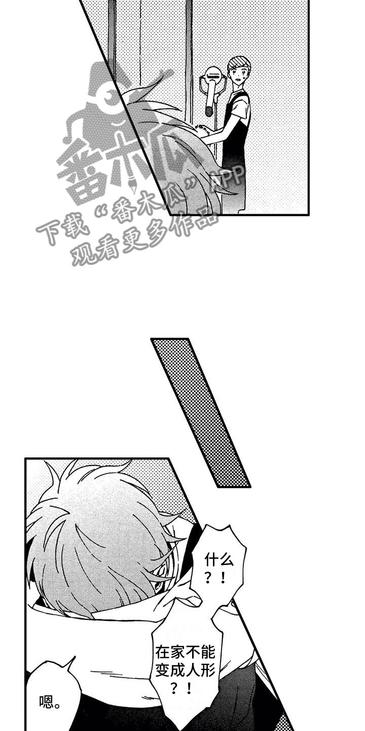 第16章：我伤害了他3