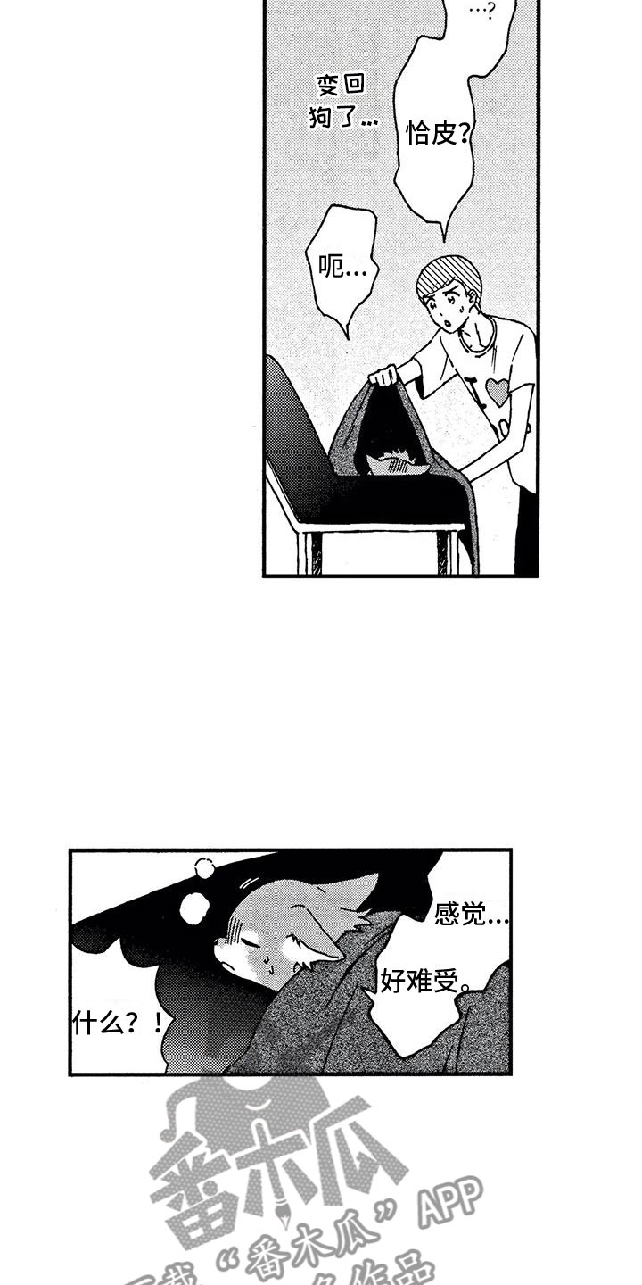 第4章：发烧了1