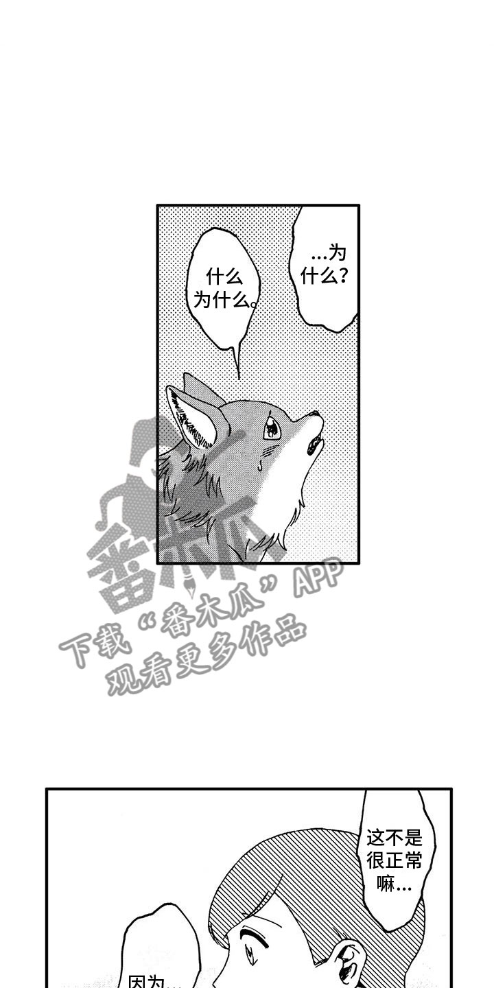 第19章：非常可爱2