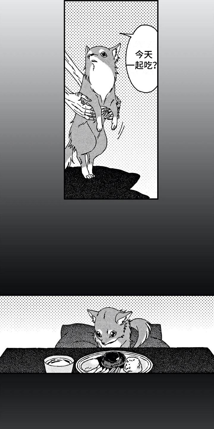 第13章：还想继续4