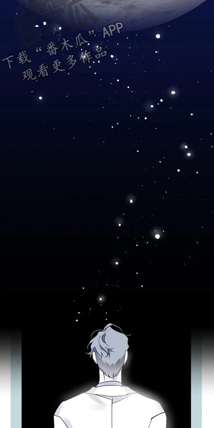 第33章：真正的现象者3