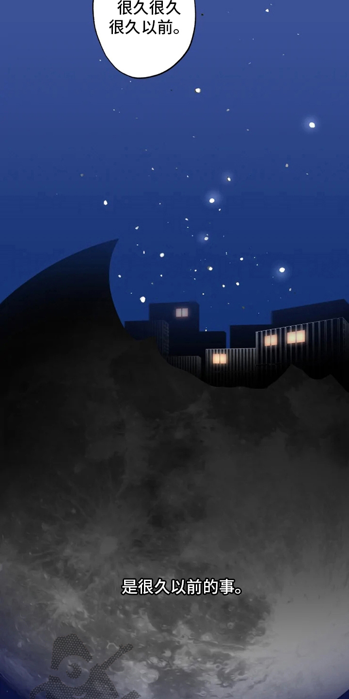 第33章：真正的现象者2