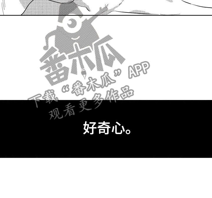 第19章：糟糕的好奇心1