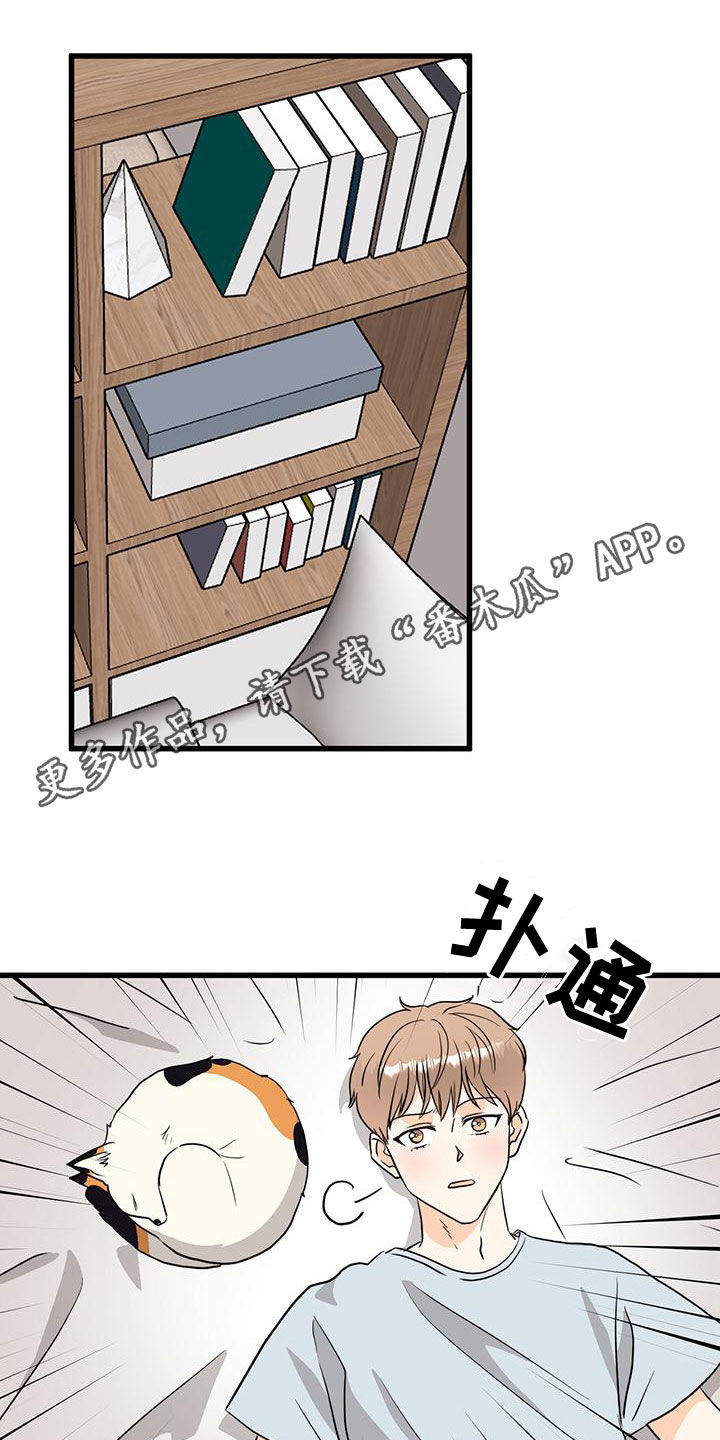 第13章：分配错了0