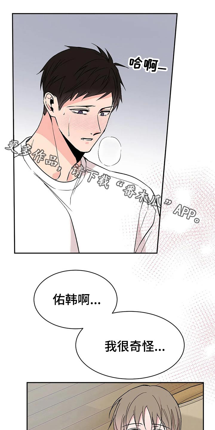 第31章：信息素0