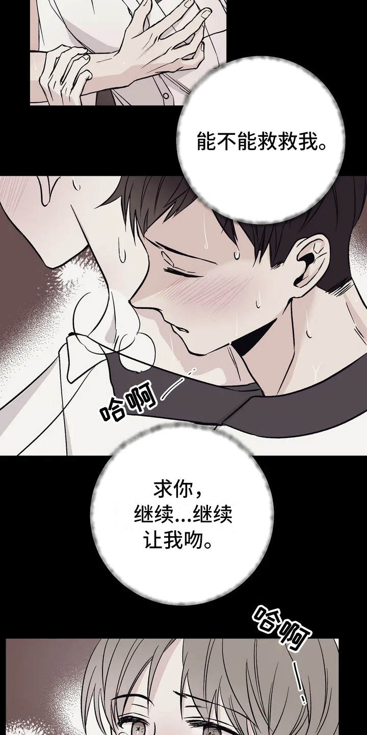 第3章：信息素1