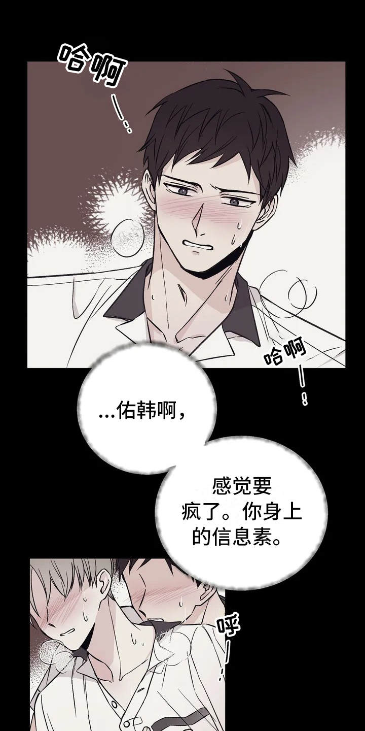 第3章：信息素0