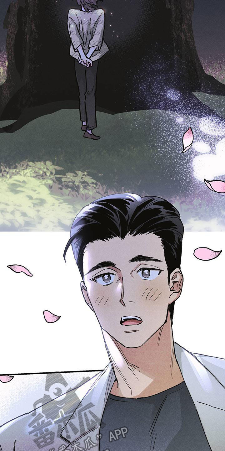 第18章：樱花节1