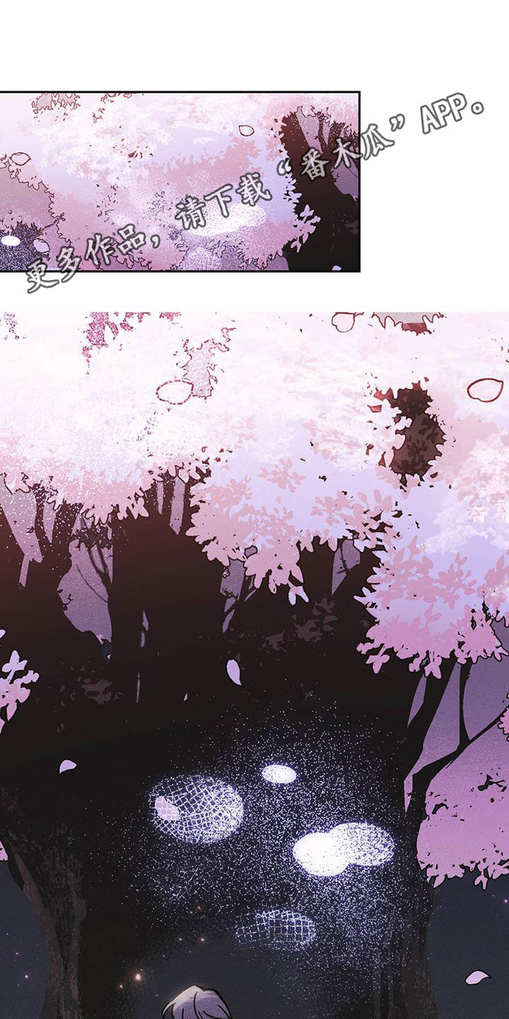 第18章：樱花节0