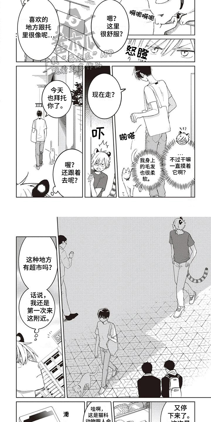 第12章：托里的将来3