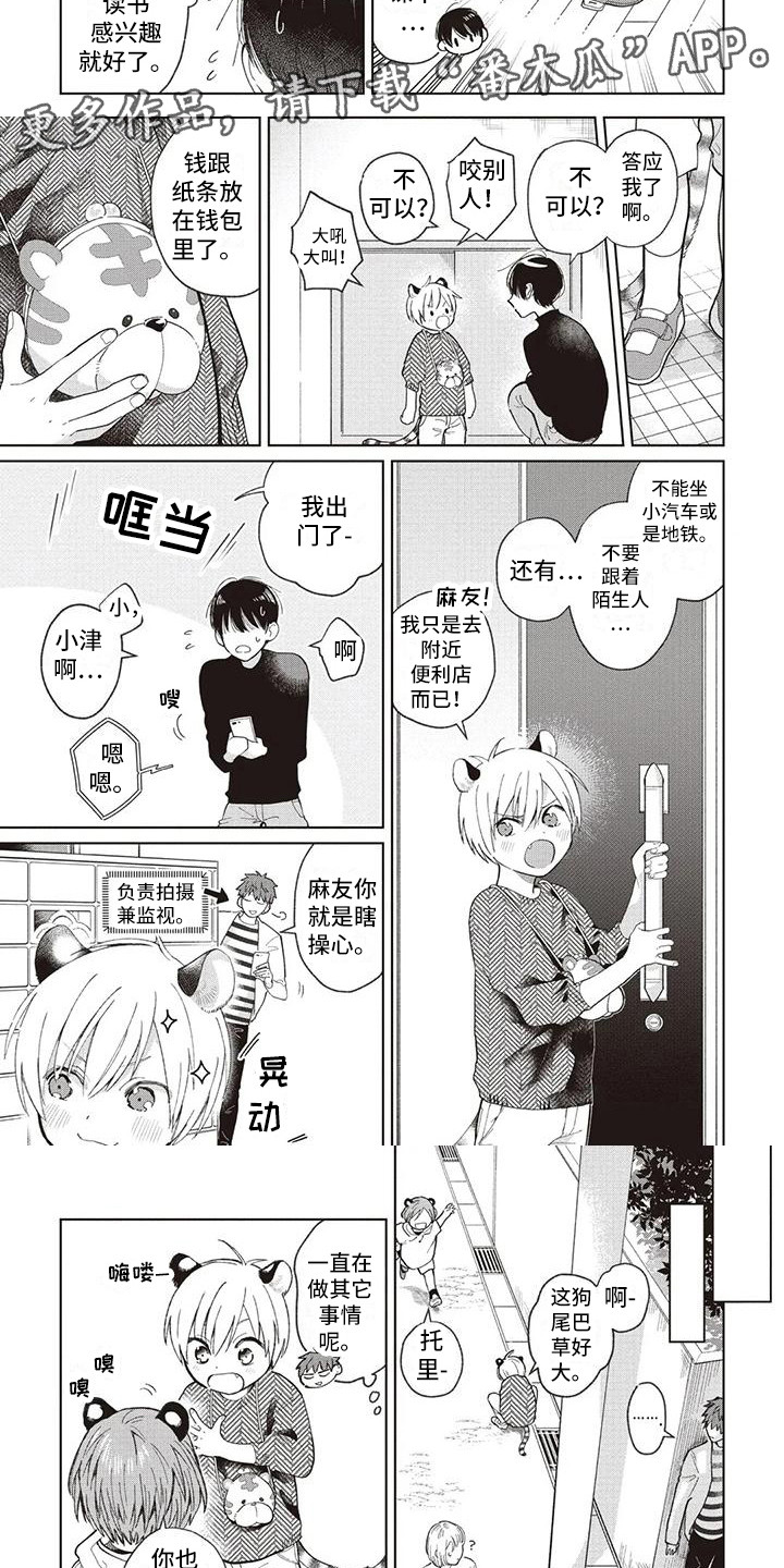 第23章：循序渐进2