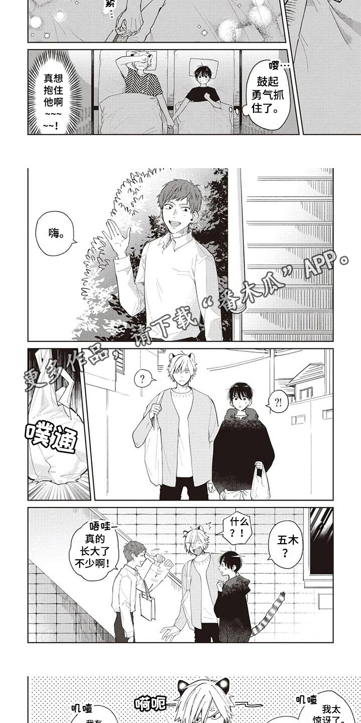 第13章：安逸的生活4