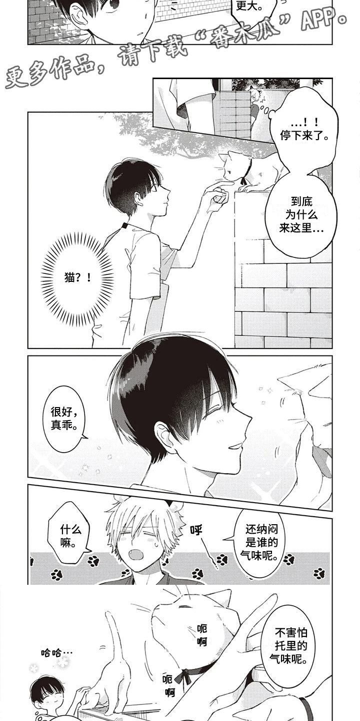 第12章：托里的将来2