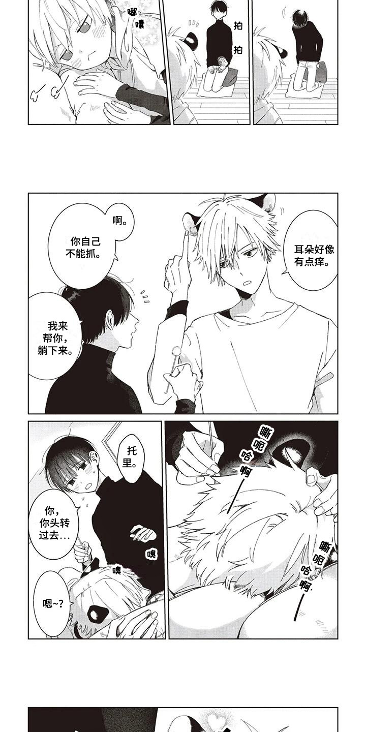 第1章：小老虎4