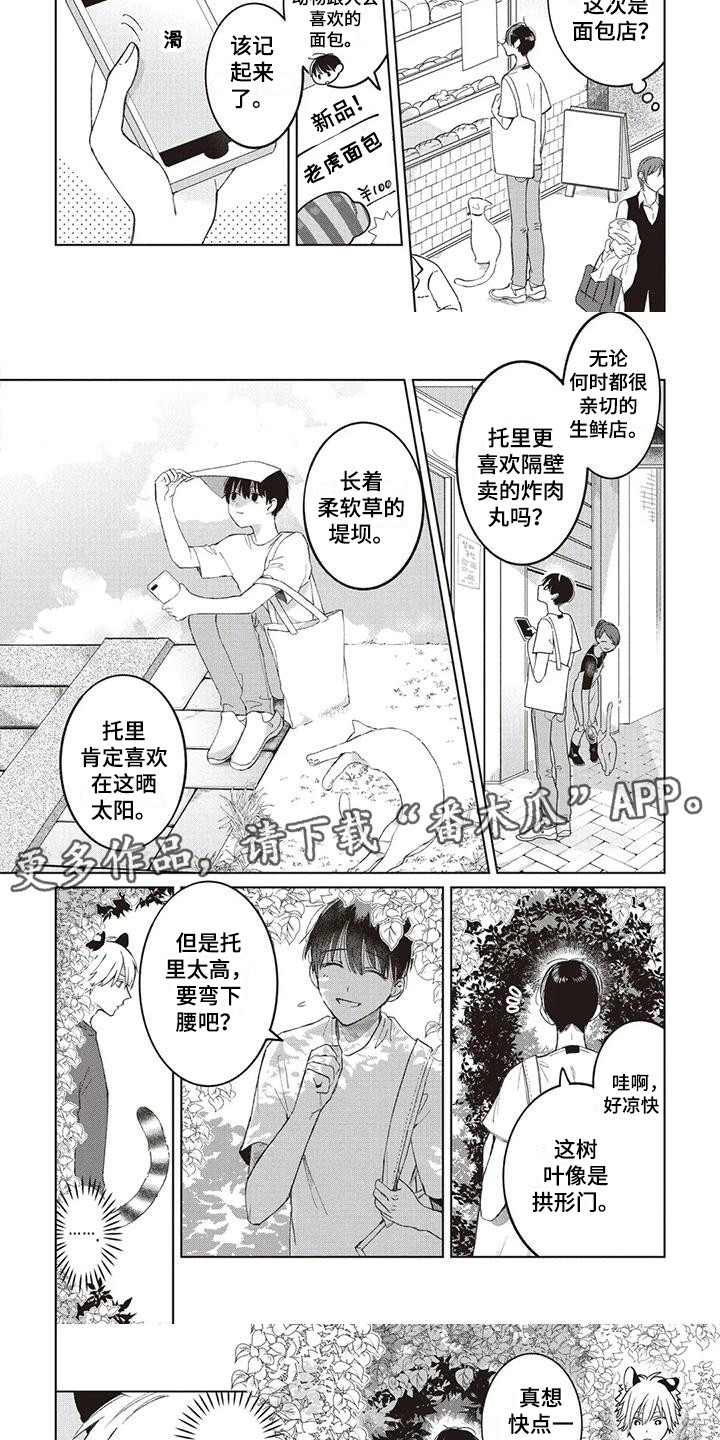 第12章：托里的将来4