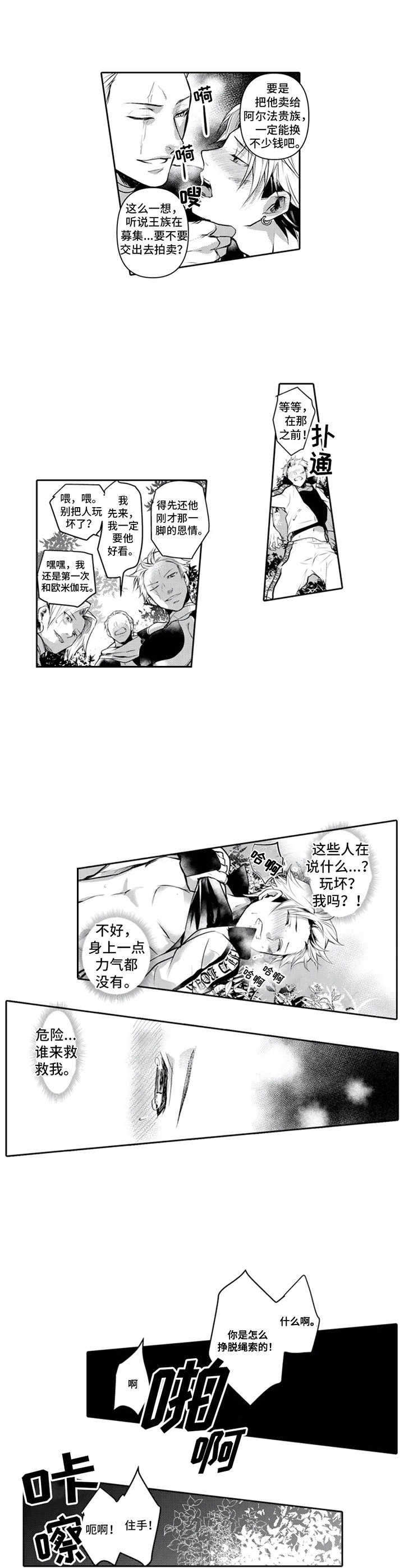 第3章：命中伴侣0
