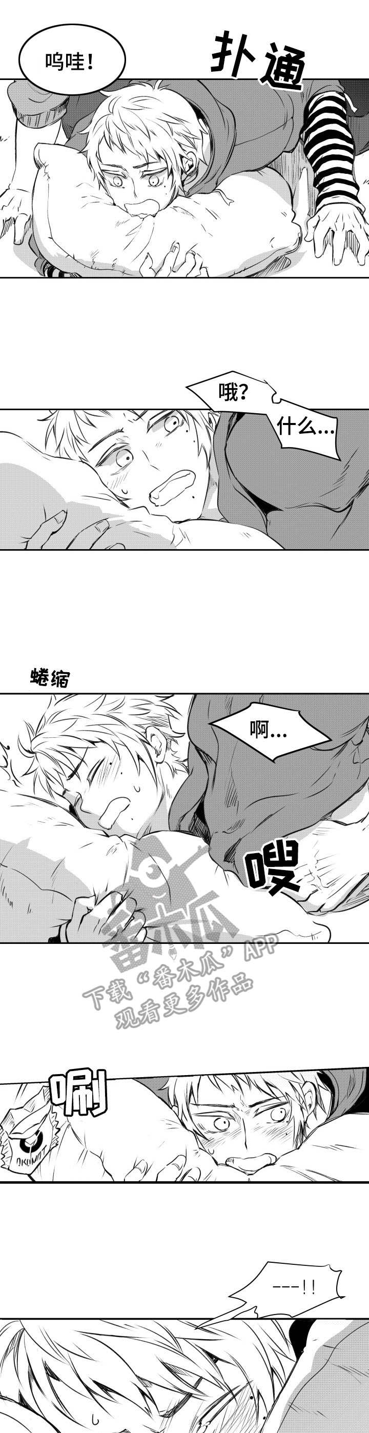 第24章：花束2