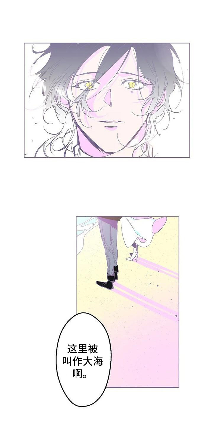 第12章：大海3